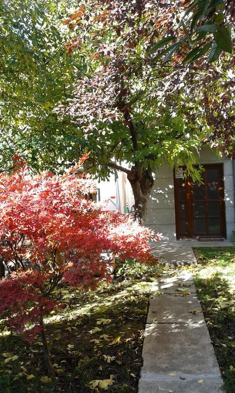 Hostel Oasis Belgrade Exterior photo